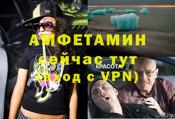 метадон Алексин