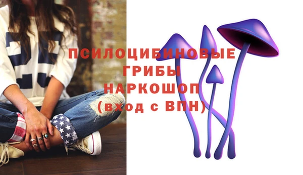 метадон Алексин