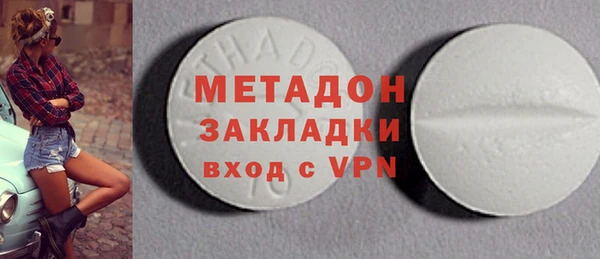 шишки Абаза